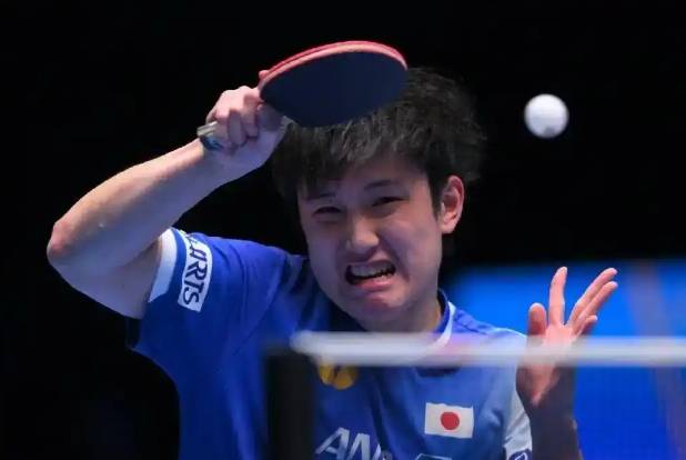 关于瑞典乒乓球队绝杀德国乒乓球队，张本智和爆发神勇的信息