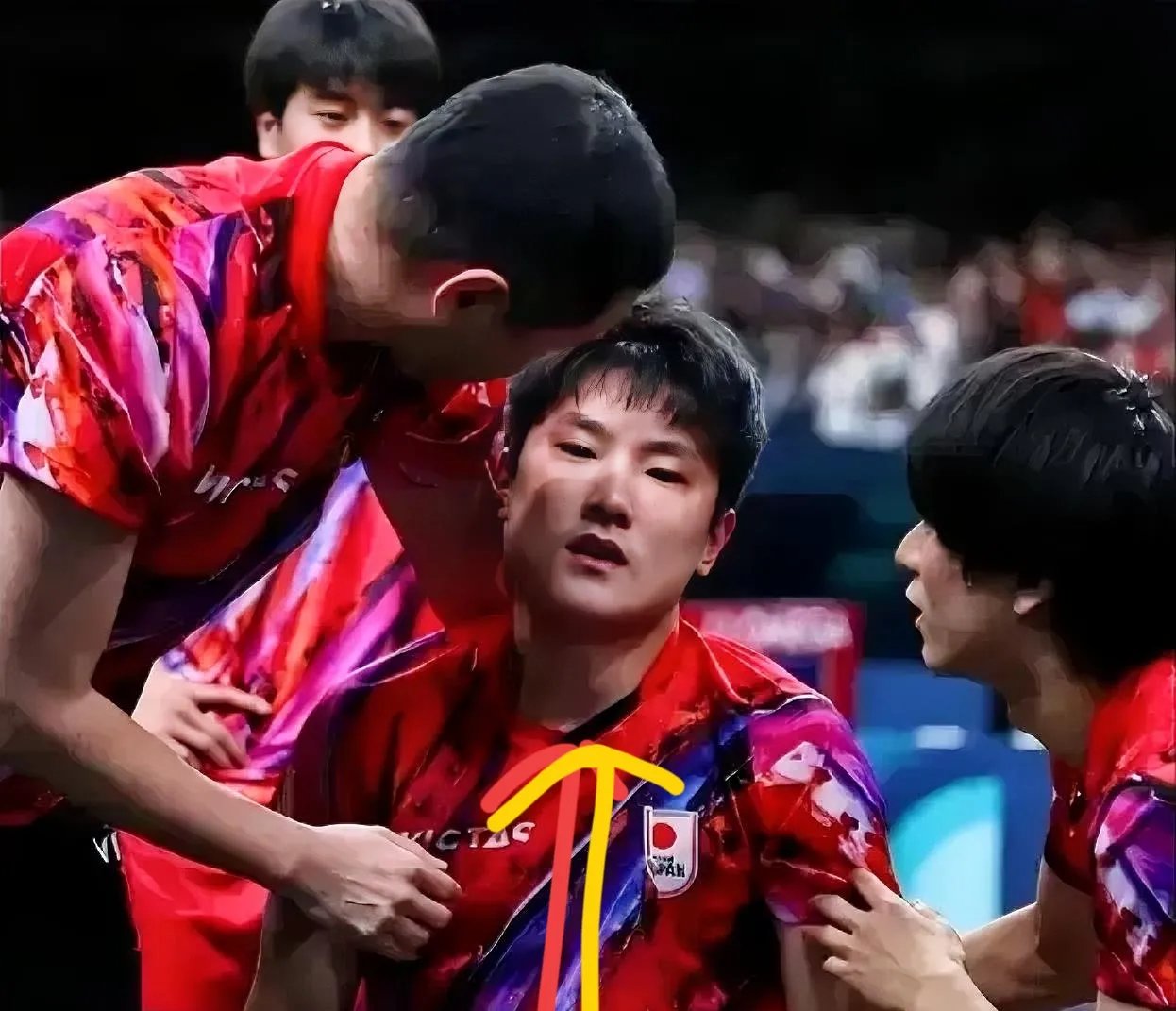 英国乒乓球队血洗韩国乒乓球队，张本智和打破历史纪录的简单介绍