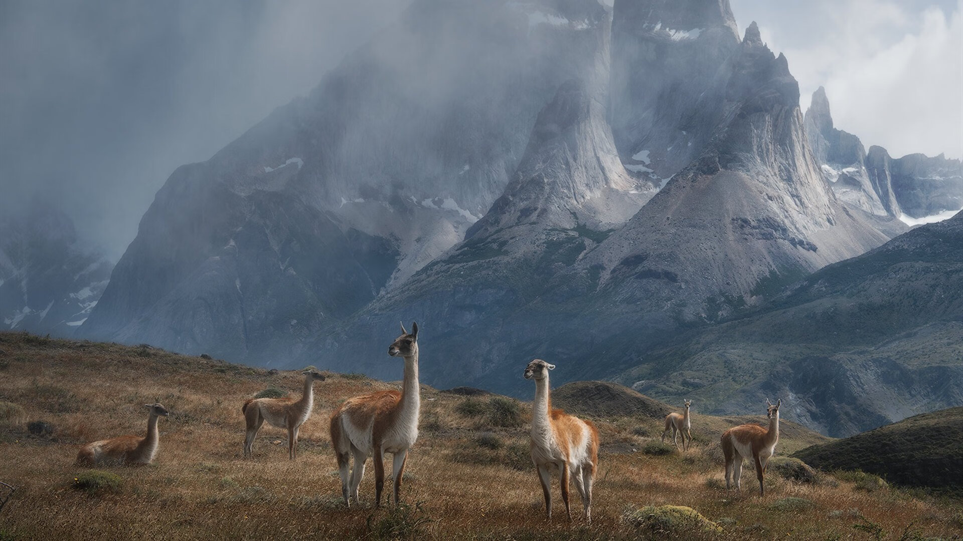 阿坎吉蓝桥的阴影与蓝月的荣光，当资本喧嚣褪去，欧冠王座谁主沉浮？