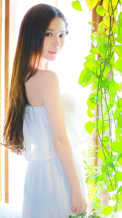 双线辉煌，美加墨世界杯焦点战与广东队制霸尼克斯的体育交响曲