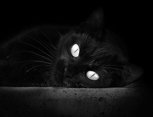 开云官网-双线鏖战，AC米兰欧战苦斗里昂，楚阿梅尼英超争冠接管比赛